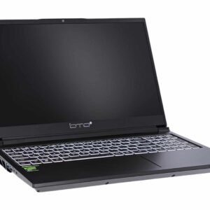 Laptop Cheetah